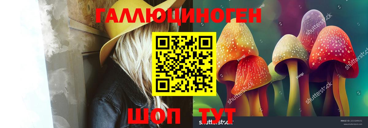 Псилоцибиновые грибы Psilocybine cubensis Вологда